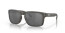 Oakley Holbrook Woodgrain + Prizm Black Polarized