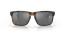 Holbrook - Matte Brown Tortoise / Prizm Black Iridium